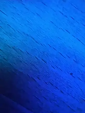 Snapshot of GmG2029 chatting on March 1, 2025, 6:54 pm GmG2029 online show from March 1, 2025, 6:54 pm