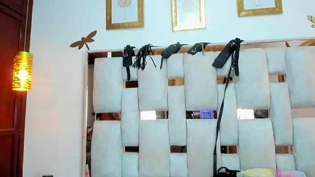 Braylen Sanchez online show from December 20, 2025, 3:08 pm