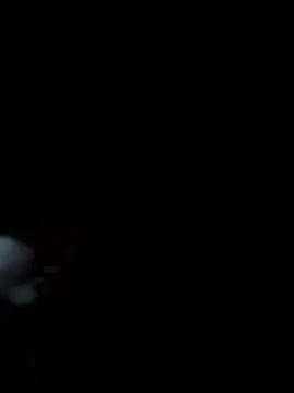 bkardashian online show from January 9, 2026, 3:42 am