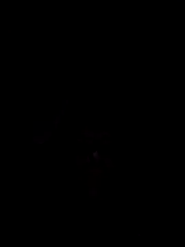 Nidge251 online show from November 4, 2025, 5:28 am