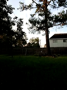 HTXBELLE online show from September 13, 2025, 11:59 pm