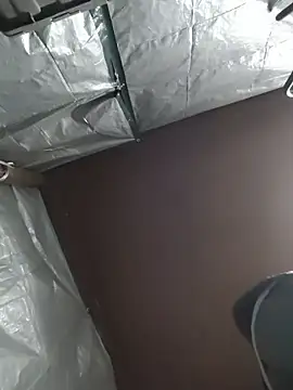 HTXBELLE online show from December 5, 2025, 2:42 am