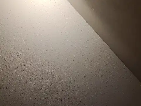 taterae online show from November 23, 2025, 12:05 pm