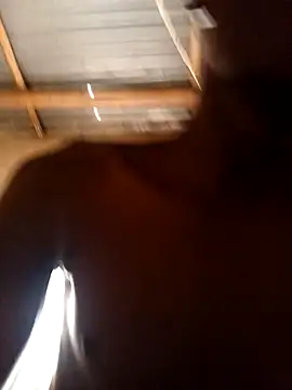 Snapshot of lilpip chatting on February 15, 2026, 9:08 am lilpip online show from February 15, 2026, 9:08 am