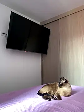 AshleyG 222 online show from December 17, 2025, 4:46 pm