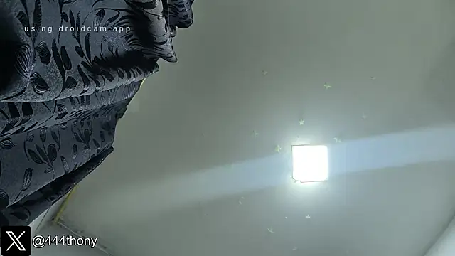 Thony444 online show from December 16, 2025, 2:16 am