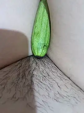 yakot7 online show from February 21, 2026, 11:06 pm