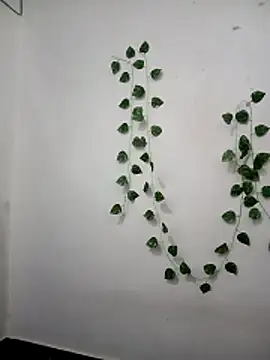 Neha-Bhabhi-Rasily online show from February 24, 2026, 9:51 am