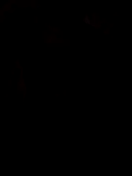 Snapshot of viviksmel chatting on October 25, 2025, 11:51 am viviksmel online show from October 25, 2025, 11:51 am