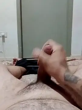 Snapshot of paurosinh4 chatting on October 13, 2025, 1:49 am paurosinh4 online show from October 13, 2025, 1:49 am