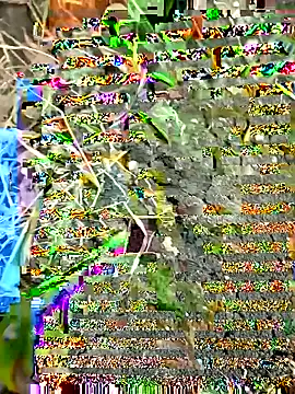 Snapshot of himvilohi08 chatting on September 27, 2025, 12:32 pm himvilohi08 online show from September 27, 2025, 12:32 pm