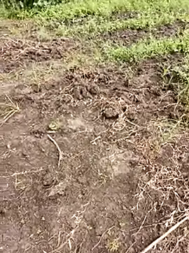 Snapshot of himvilohi08 chatting on October 1, 2025, 5:35 am himvilohi08 online show from October 1, 2025, 5:35 am