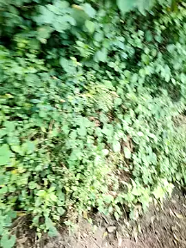 Snapshot of himvilohi08 chatting on October 2, 2025, 5:14 am himvilohi08 online show from October 2, 2025, 5:14 am