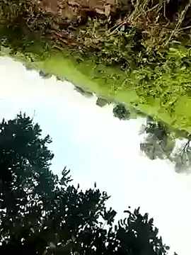 Snapshot of himvilohi08 chatting on October 4, 2025, 5:27 am himvilohi08 online show from October 4, 2025, 5:27 am