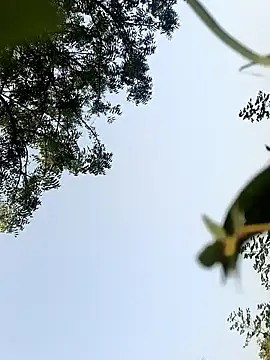 Snapshot of himvilohi08 chatting on October 22, 2025, 10:26 am himvilohi08 online show from October 22, 2025, 10:26 am