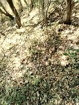 himvilohi08 online show from March 22, 2026, 7:12 am