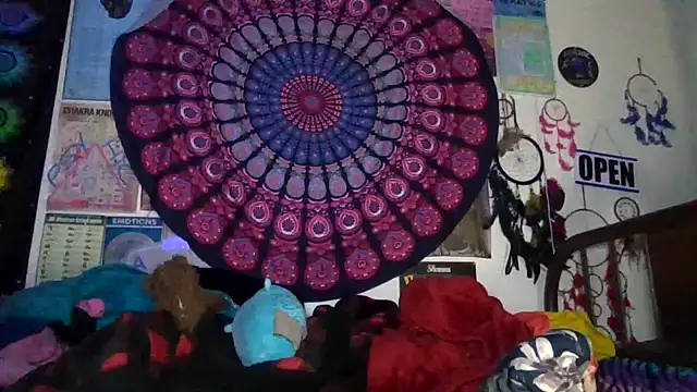 GardeniaFields online show from April 24, 2026, 9:23 am