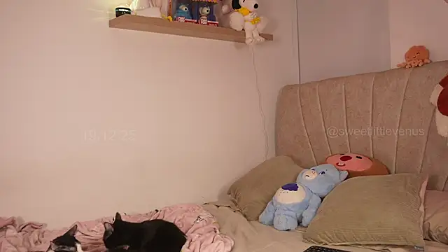 sweetlittlevenus online show from December 19, 2025, 10:06 pm