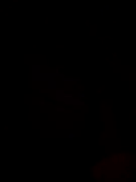 Ricopalote22 online show from September 21, 2025, 9:16 pm