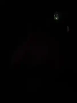 Hugo34bg online show from February 13, 2026, 5:42 pm