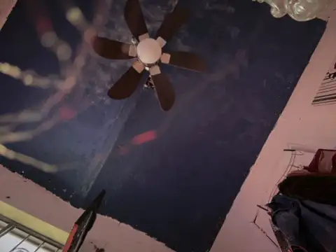 LoganPeny online show from March 21, 2026, 2:20 pm