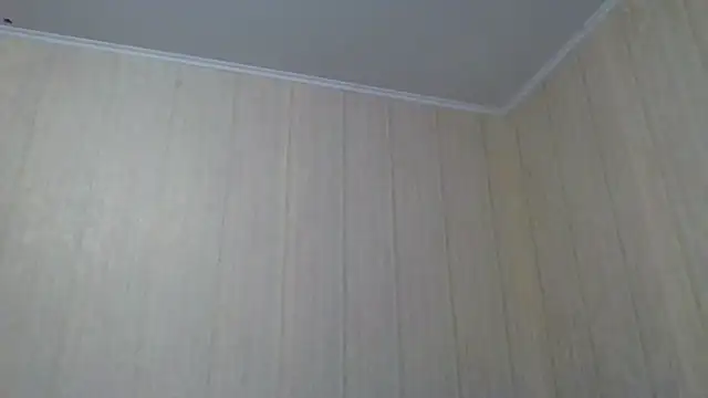  Black-Panther  online show from September 28, 2025, 10:31 am