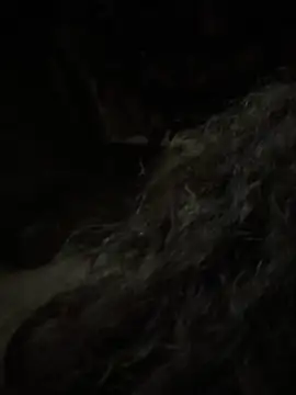 Snapshot of aa520uv chatting on February 5, 2026, 12:43 pm aa520uv online show from February 5, 2026, 12:43 pm