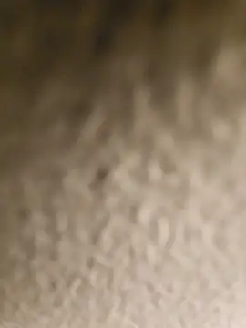 ikeike-kun online show from April 8, 2026, 2:44 am