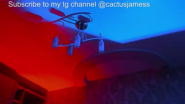 Cactus  James online show from November 21, 2025, 11:58 pm