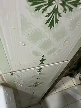 dilu98 online show from December 18, 2025, 1:22 am