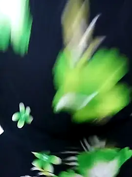 tamiltady online show from September 12, 2025, 5:57 pm