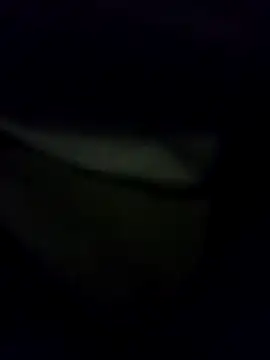 Snapshot of Hema0Hema chatting on February 21, 2026, 10:33 pm Hema0Hema online show from February 21, 2026, 10:33 pm