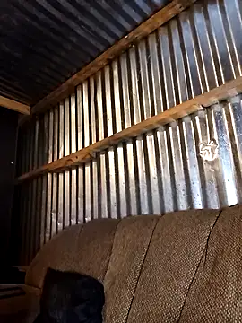 Thenaughtyboy360 online show from December 21, 2025, 10:06 pm