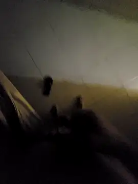 beto juby777 online show from November 4, 2025, 10:42 pm