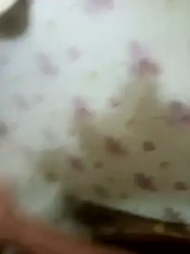 zim200 online show from April 12, 2026, 5:56 am