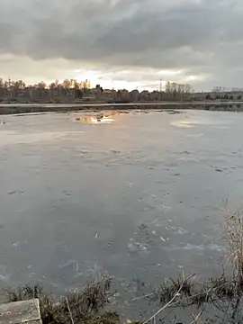 elliot scott online show from October 22, 2025, 10:37 am