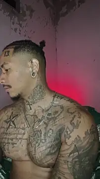 David tatto1 online show from February 4, 2026, 3:01 am