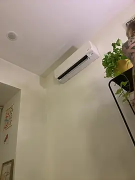 seeunexttuesday online show from March 31, 2026, 11:38 pm