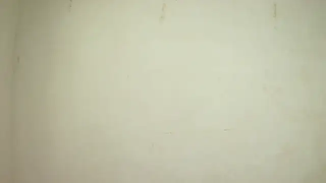 SelenaKayle online show from October 24, 2025, 4:14 pm