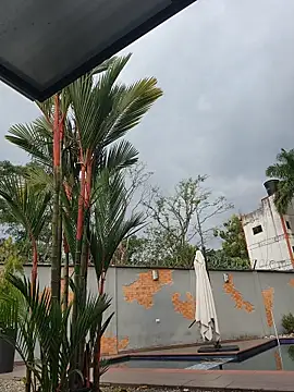 Yessica Lopezz online show from February 13, 2026, 12:23 pm