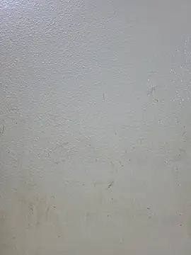 titooritax online show from November 1, 2025, 11:29 pm