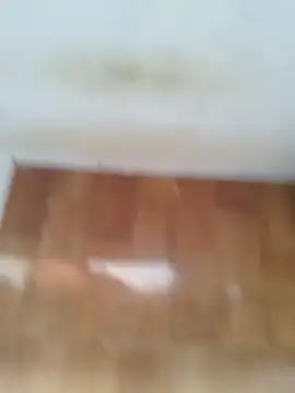 Snapshot of O_Mascarado_NK chatting on March 21, 2026, 12:43 pm O Mascarado NK online show from March 21, 2026, 12:43 pm