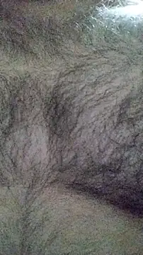 LeoMaduroSP online show from January 16, 2026, 7:45 am