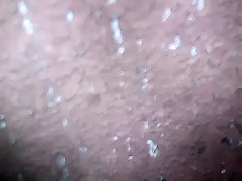 20cmloiro online show from February 27, 2026, 9:53 am