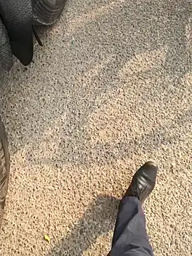 Snapshot of mysticeyes_backup chatting on November 15, 2025, 3:37 am mysticeyes backup online show from November 15, 2025, 3:37 am