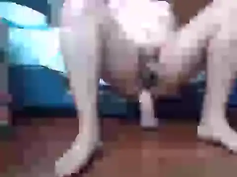 Culazodeantonellarocuzzo online show from September 15, 2025, 3:34 pm