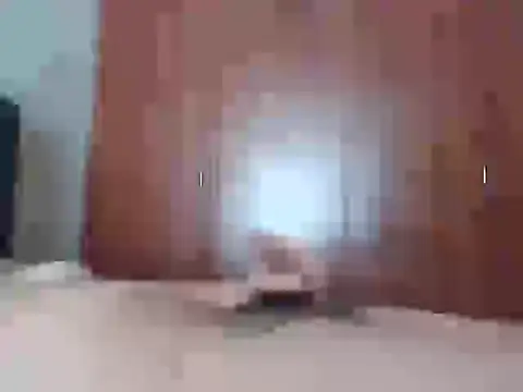 Culazodeantonellarocuzzo online show from February 25, 2026, 3:21 pm