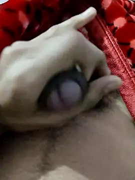 saneer69tew online show from December 4, 2025, 9:07 am