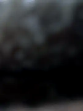 rociomilf online show from December 1, 2025, 3:11 am