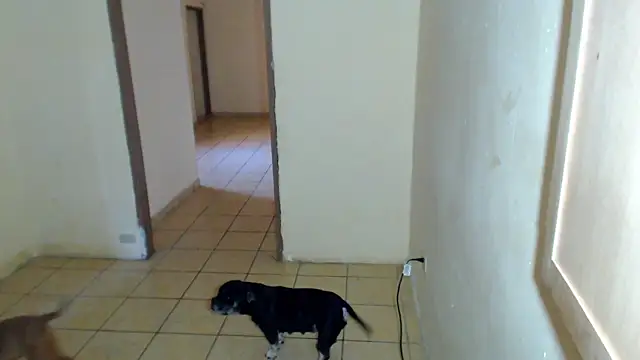 Snapshot of BlondZilla chatting on February 1, 2026, 4:16 pm BlondZilla online show from February 1, 2026, 4:16 pm